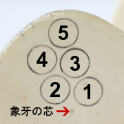 象牙のどの部分が一番よいのですか?